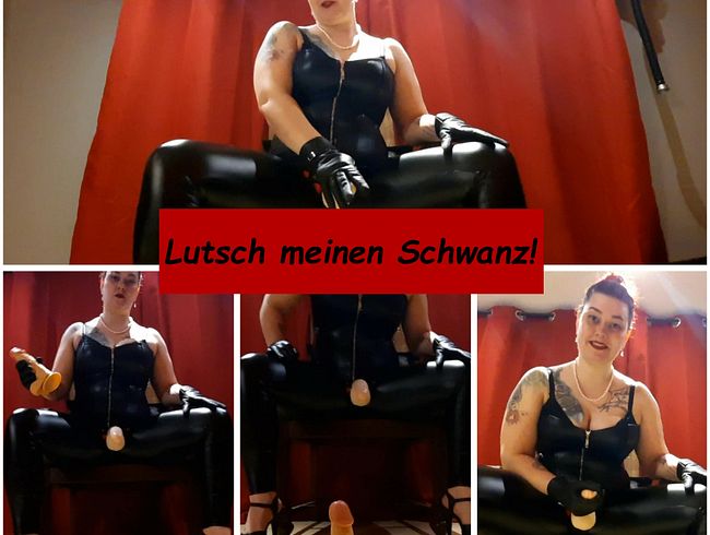 Lutsch meinen Schwanz! Sklavenaufgabe Nr.2