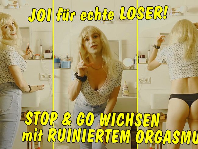 JOI für echte Kleinschwanz-Loser! Fieses Stop & Go Wichsen mit ruiniertem Orgasmus!