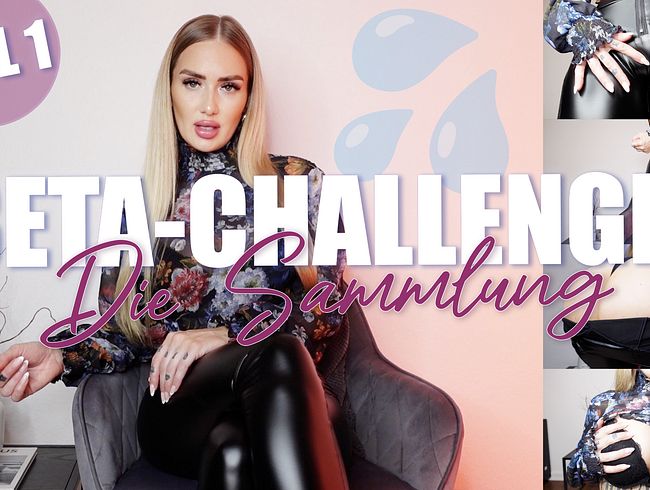 BETA CHALLENGE - Die Sammlung! Teil 1