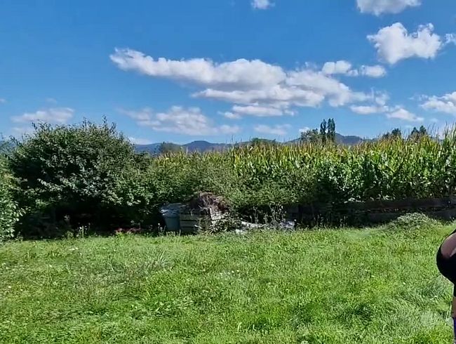 Ich piss ganz frech bei meinem Nachbarn in den Garten