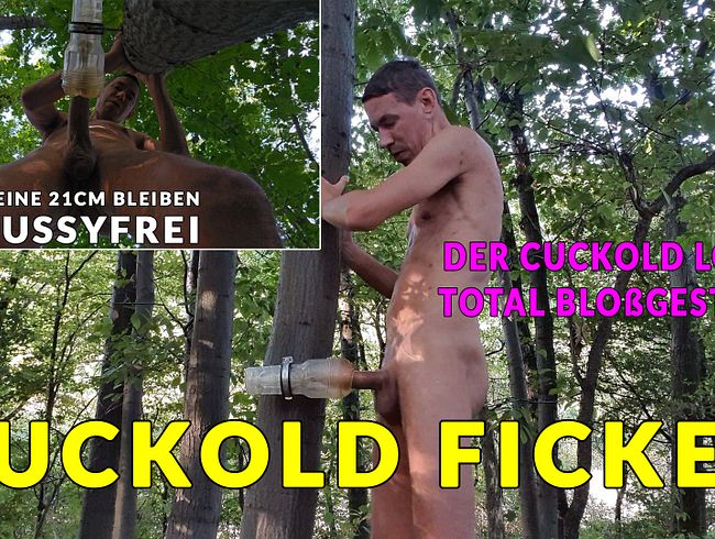 So fickt ein Cuckold * Meine 21cm bleiben Pussyfrei
