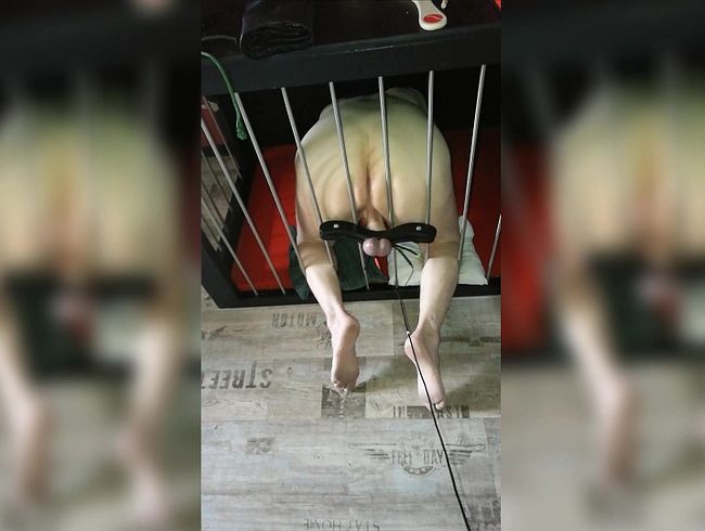 Sammelalbum - Im Käfig 1