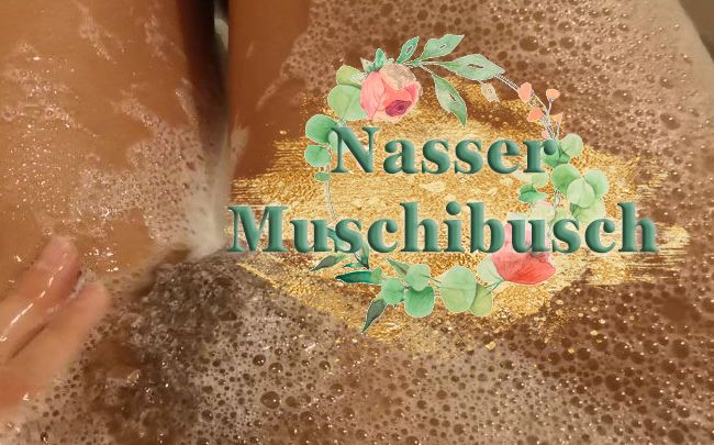 Nasser Muschibusch I Userwunsch
