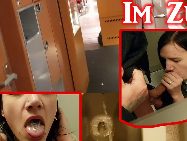 In der Zug Toilette