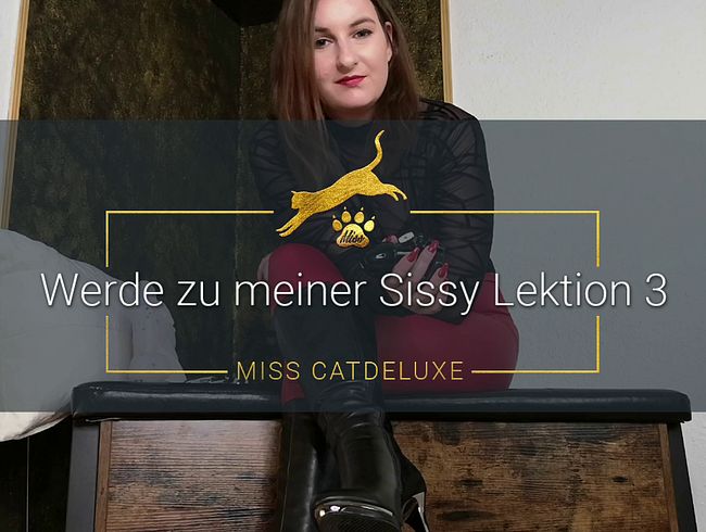 Werde zu meiner Sissy - Lektion 3