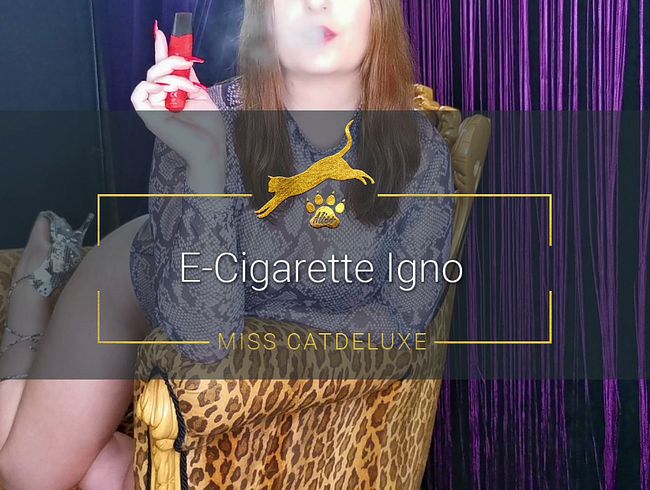 E-Cigarette Igno