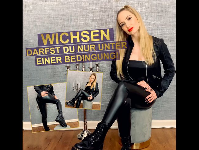 JOI - WICHSEN darfst du nur unter EINER Bedingung!!