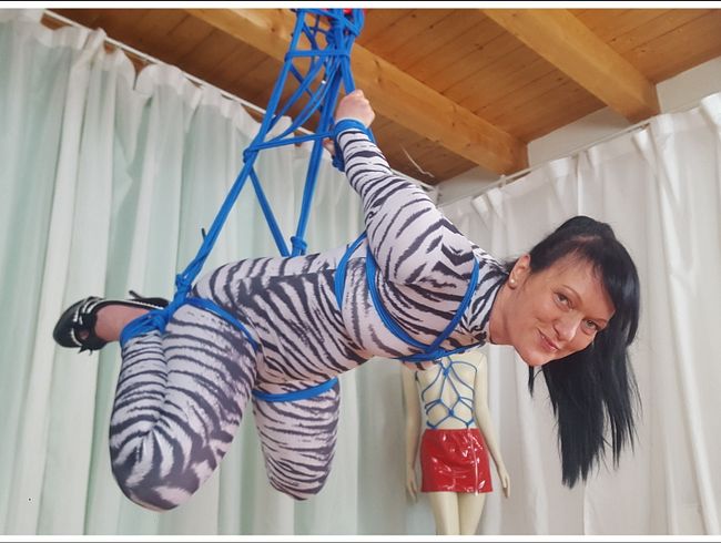 Zebra Suspension