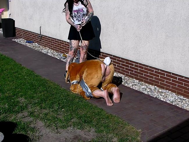 Easter Bunny Hunting 1