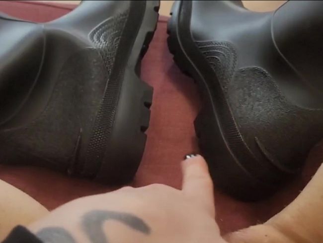 Darf ich vorstellen? Meine NEuen